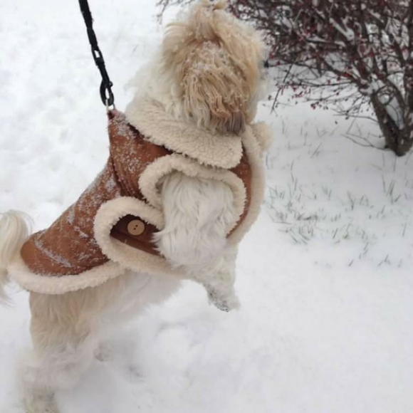 Dog booty & jacket - Picture 5 of 6